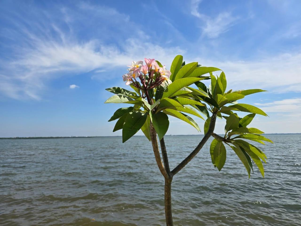 Lagoon Bay Resort Negombo Exterior photo